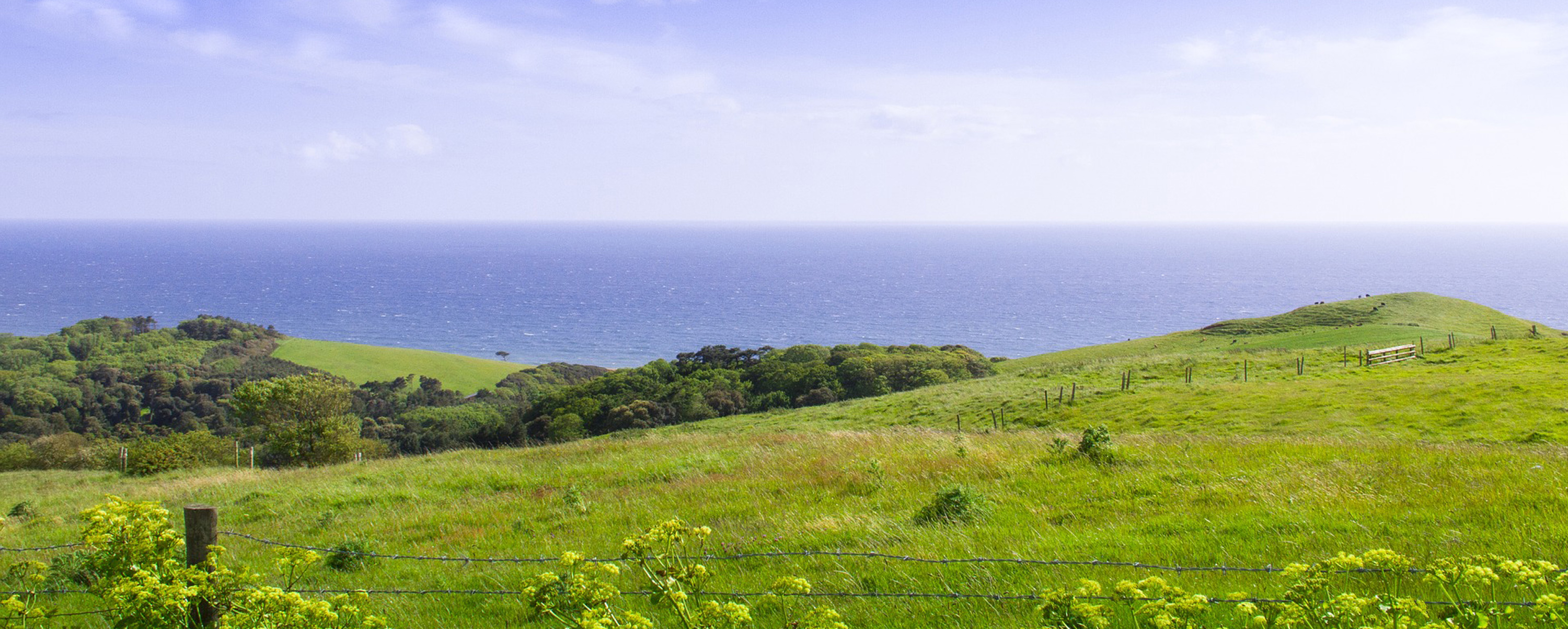 Southern England Farms Picture