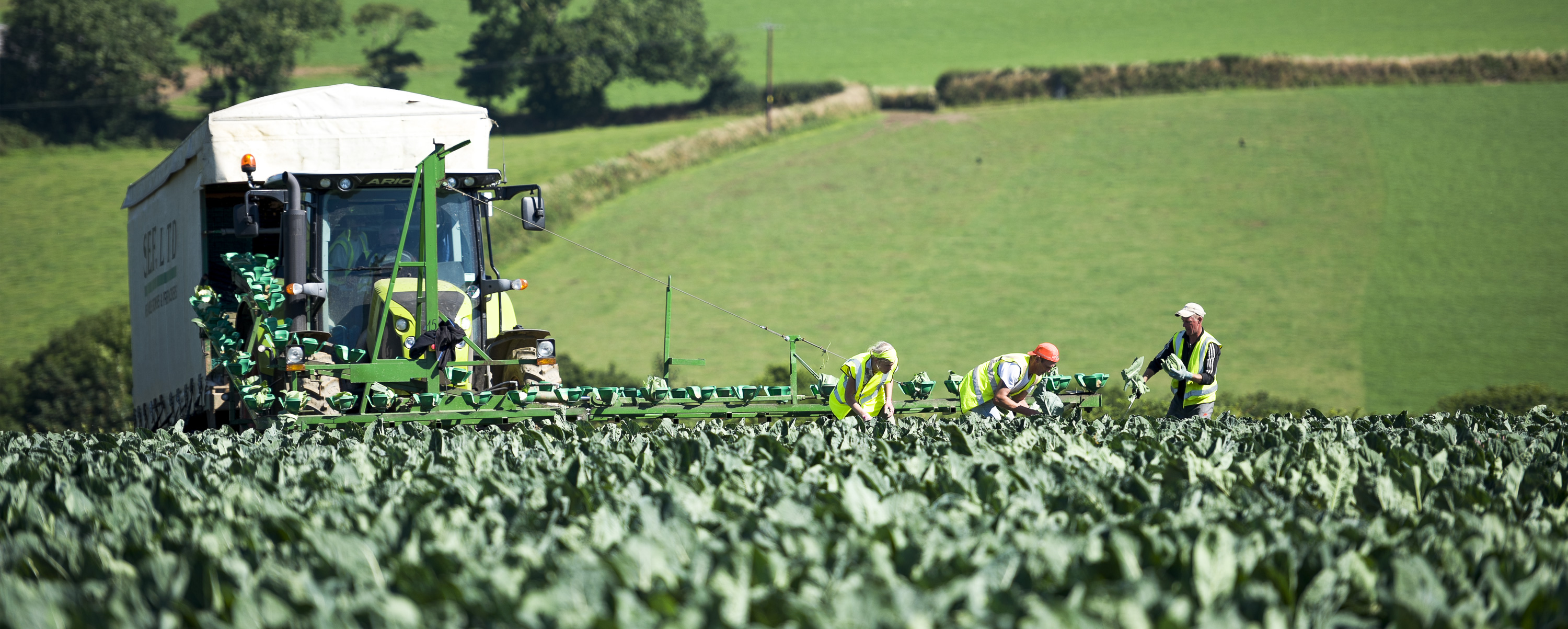 Southern England Farms Picture